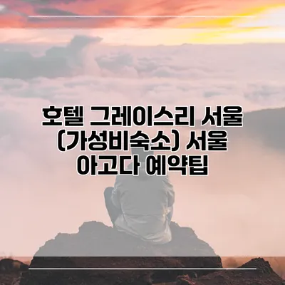 호텔 그레이스리 서울 (가성비숙소) 서울 아고다 예약팁