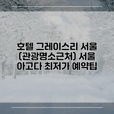 호텔 그레이스리 서울 (관광명소근처) 서울 아고다 최저가 예약팁