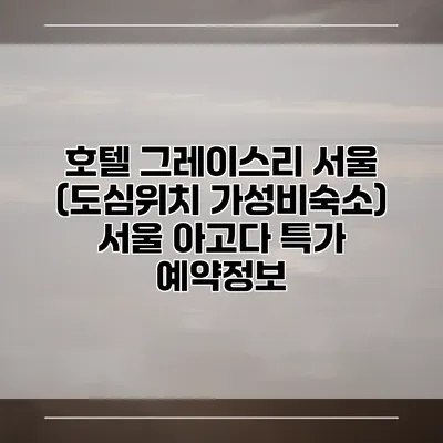호텔 그레이스리 서울 (도심위치 가성비숙소) 서울 아고다 특가 예약정보