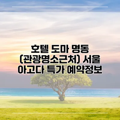 호텔 도마 명동 (관광명소근처) 서울 아고다 특가 예약정보