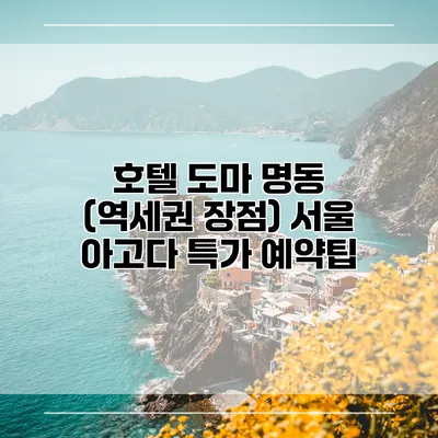 호텔 도마 명동 (역세권 장점) 서울 아고다 특가 예약팁