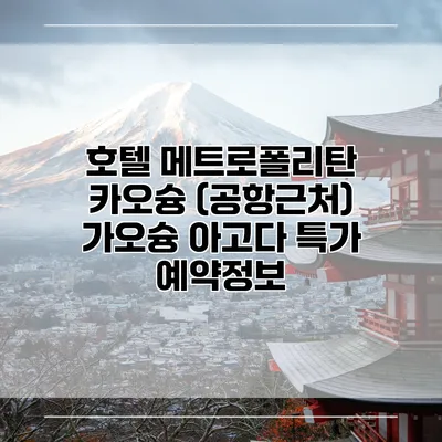 호텔 메트로폴리탄 카오슝 (공항근처) 가오슝 아고다 특가 예약정보