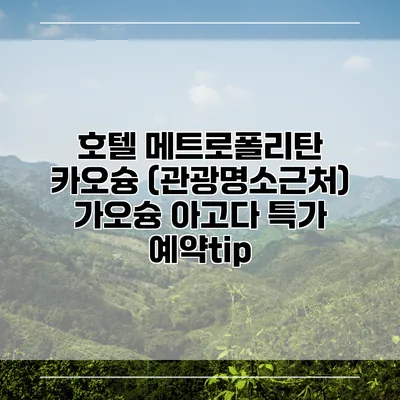 호텔 메트로폴리탄 카오슝 (관광명소근처) 가오슝 아고다 특가 예약tip