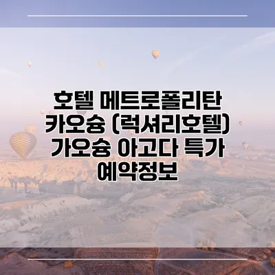 호텔 메트로폴리탄 카오슝 (럭셔리호텔) 가오슝 아고다 특가 예약정보