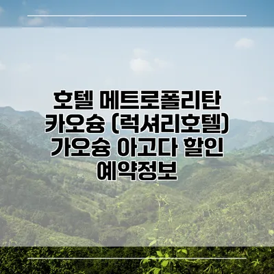호텔 메트로폴리탄 카오슝 (럭셔리호텔) 가오슝 아고다 할인 예약정보