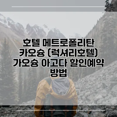 호텔 메트로폴리탄 카오슝 (럭셔리호텔) 가오슝 아고다 할인예약 방법