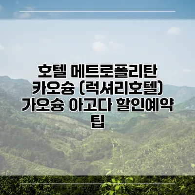 호텔 메트로폴리탄 카오슝 (럭셔리호텔) 가오슝 아고다 할인예약 팁