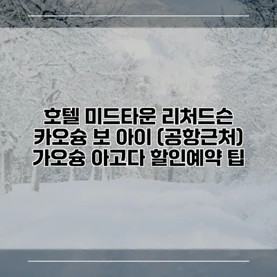 호텔 미드타운 리처드슨 카오슝 보 아이 (공항근처) 가오슝 아고다 할인예약 팁