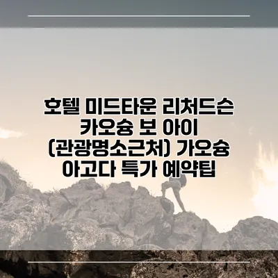 호텔 미드타운 리처드슨 카오슝 보 아이 (관광명소근처) 가오슝 아고다 특가 예약팁