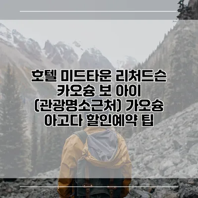 호텔 미드타운 리처드슨 카오슝 보 아이 (관광명소근처) 가오슝 아고다 할인예약 팁