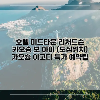 호텔 미드타운 리처드슨 카오슝 보 아이 (도심위치) 가오슝 아고다 특가 예약팁