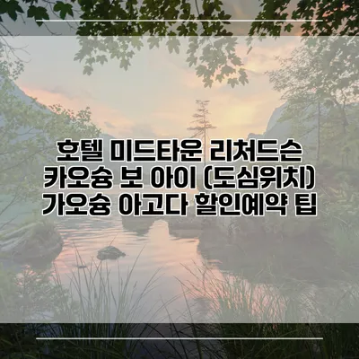 호텔 미드타운 리처드슨 카오슝 보 아이 (도심위치) 가오슝 아고다 할인예약 팁