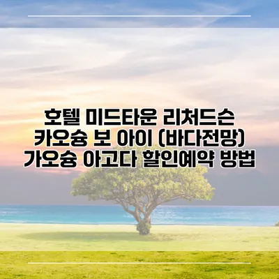 호텔 미드타운 리처드슨 카오슝 보 아이 (바다전망) 가오슝 아고다 할인예약 방법