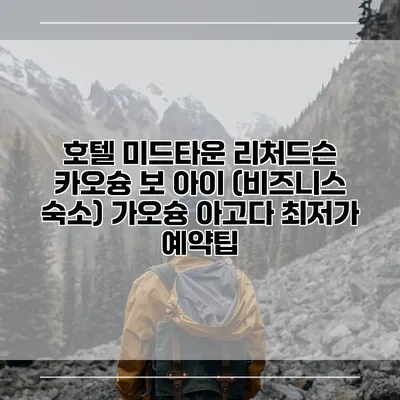 호텔 미드타운 리처드슨 카오슝 보 아이 (비즈니스 숙소) 가오슝 아고다 최저가 예약팁