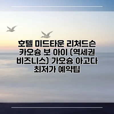 호텔 미드타운 리처드슨 카오슝 보 아이 (역세권 비즈니스) 가오슝 아고다 최저가 예약팁