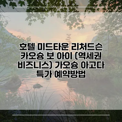 호텔 미드타운 리처드슨 카오슝 보 아이 (역세권 비즈니스) 가오슝 아고다 특가 예약방법