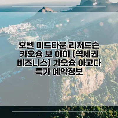 호텔 미드타운 리처드슨 카오슝 보 아이 (역세권 비즈니스) 가오슝 아고다 특가 예약정보