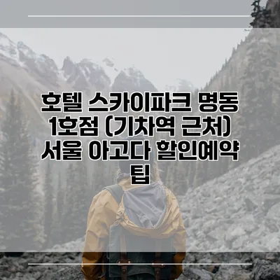호텔 스카이파크 명동 1호점 (기차역 근처) 서울 아고다 할인예약 팁