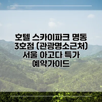 호텔 스카이파크 명동 3호점 (관광명소근처) 서울 아고다 특가 예약가이드