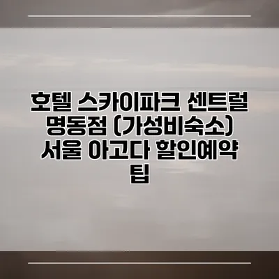 호텔 스카이파크 센트럴 명동점 (가성비숙소) 서울 아고다 할인예약 팁